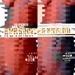 Zeige Details für Afu-Ra - Perverted Monks Bild von Afu-Ra - Perverted Monks