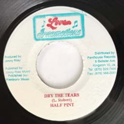 Show details for Half Pint - Dry The Tears Picture of Half Pint - Dry The Tears