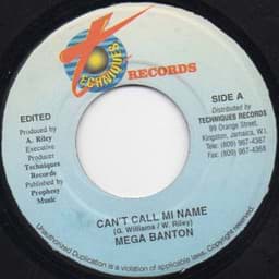 Zeige Details für Mega Banton - Can't Call Mi Name Bild von Mega Banton - Can't Call Mi Name
