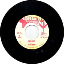 Zeige Details für Peter Ranking - Beach Party Bild von Peter Ranking - Beach Party