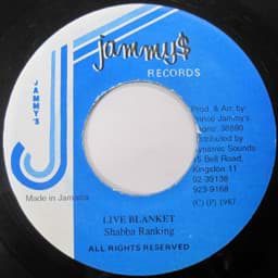 Show details for Shabba Ranks - Live Blanket Picture of Shabba Ranks - Live Blanket
