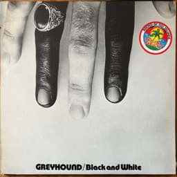 Show details for Greyhound - Black And White Picture of Greyhound - Black And White