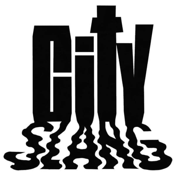 Picture for manufacturer City Slang