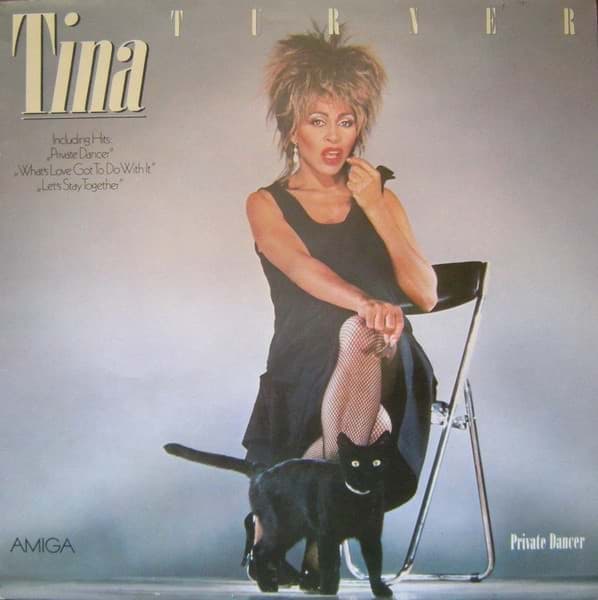 Picture of Tina Turner ‎– Private Dancer