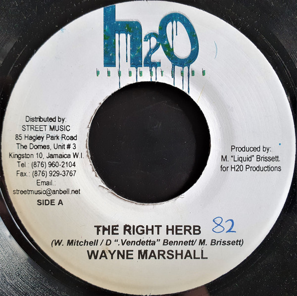 Bild von Wayne Marshall - The Right Herb