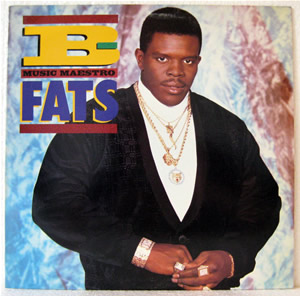 Bild von B Fats - Music Maestro