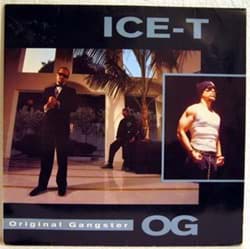 Bild von Ice T - Original Gangster 
