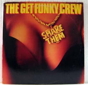 Bild von The Get Funky Crew - Shake Them 