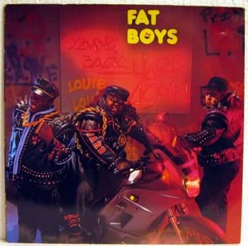Picture of Fat Boys - Coming Back Hard Again 
