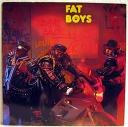 Bild von Fat Boys - Coming Back Hard Again 
