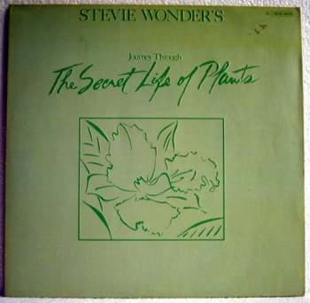 Picture of Stevie Wonder - The Secret Life Of Plants 