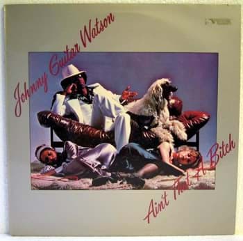 Bild von Johnny Guitar Watson - Ain't That A Bitch 