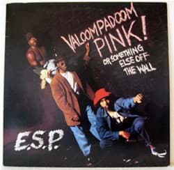 Bild von E.S.P. - Valoom Padoom Pink! Or Something Else Off The Wall