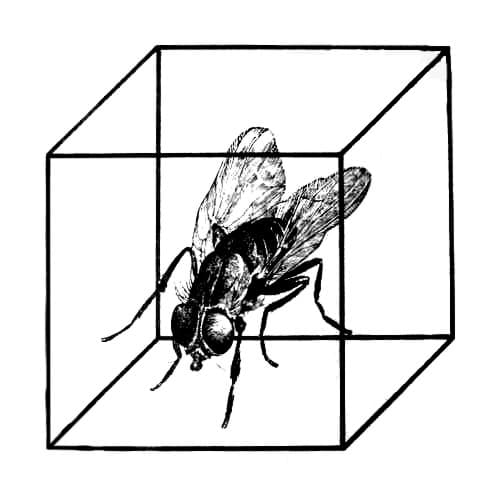 Bilder für Hersteller Cube Records