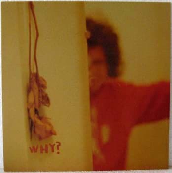 Bild von Why? - The Early Whitney